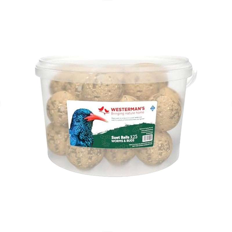 Westerman's Suet Balls Worms and Bugs