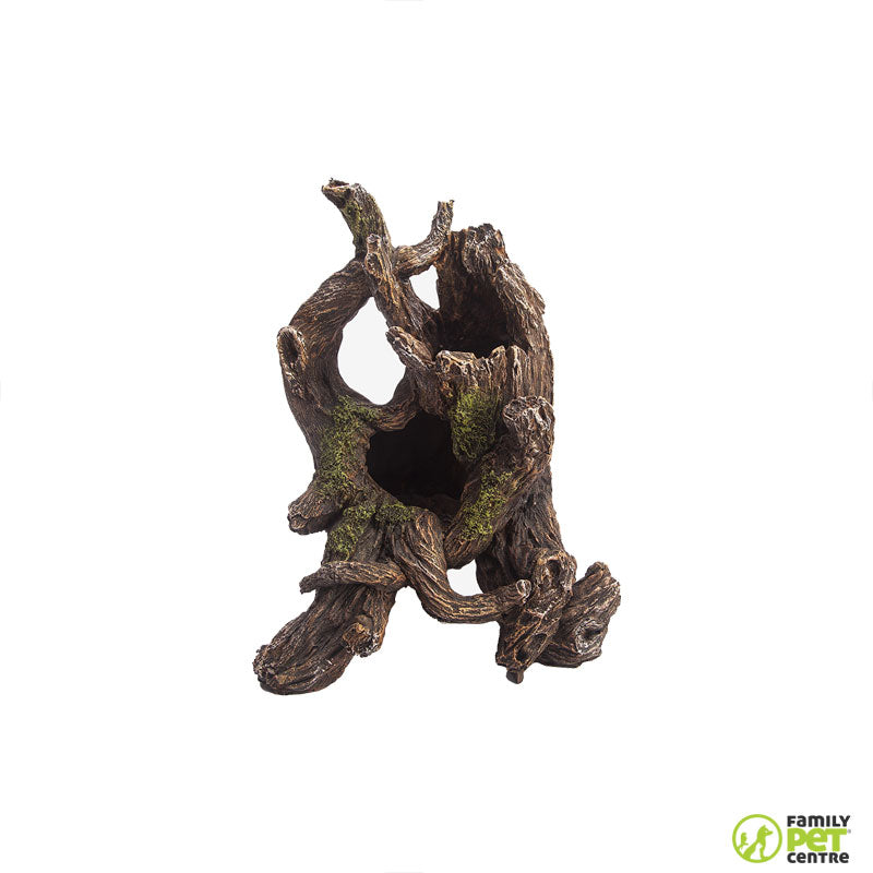 Zugo Twisted Timber II