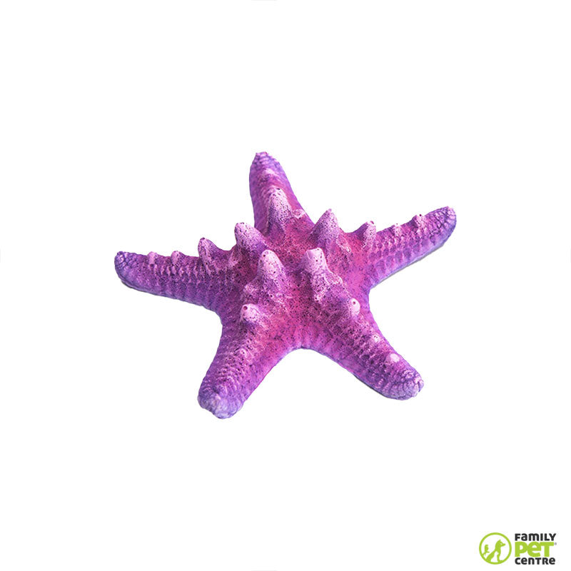 Zugo Pink Sea Star