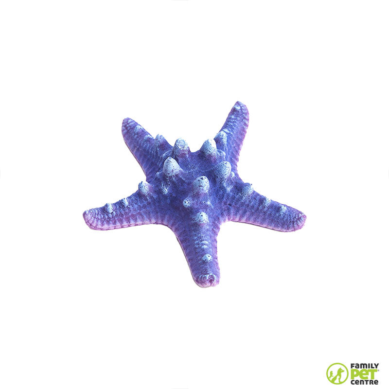 Zugo Bubblegum Sea Star