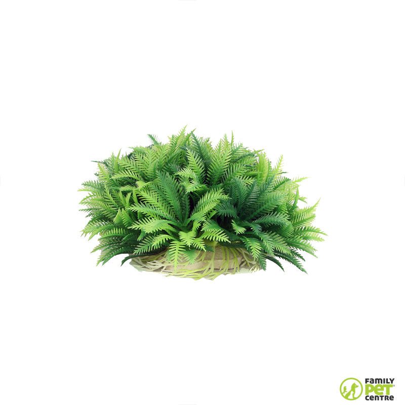 Zugo Green Bush