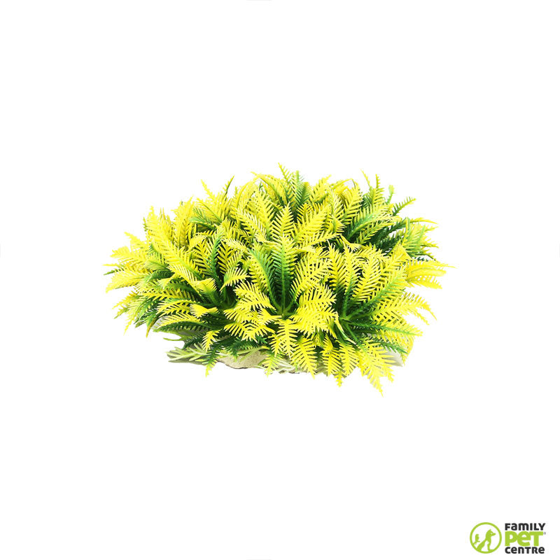 Zugo Yellow Bush