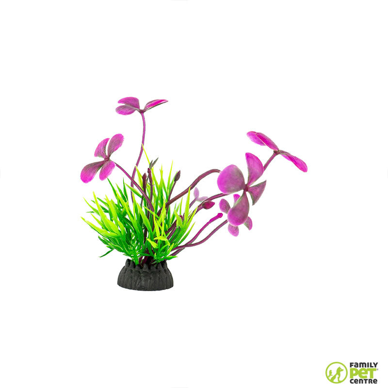 Zugo Pink Blossom Bush