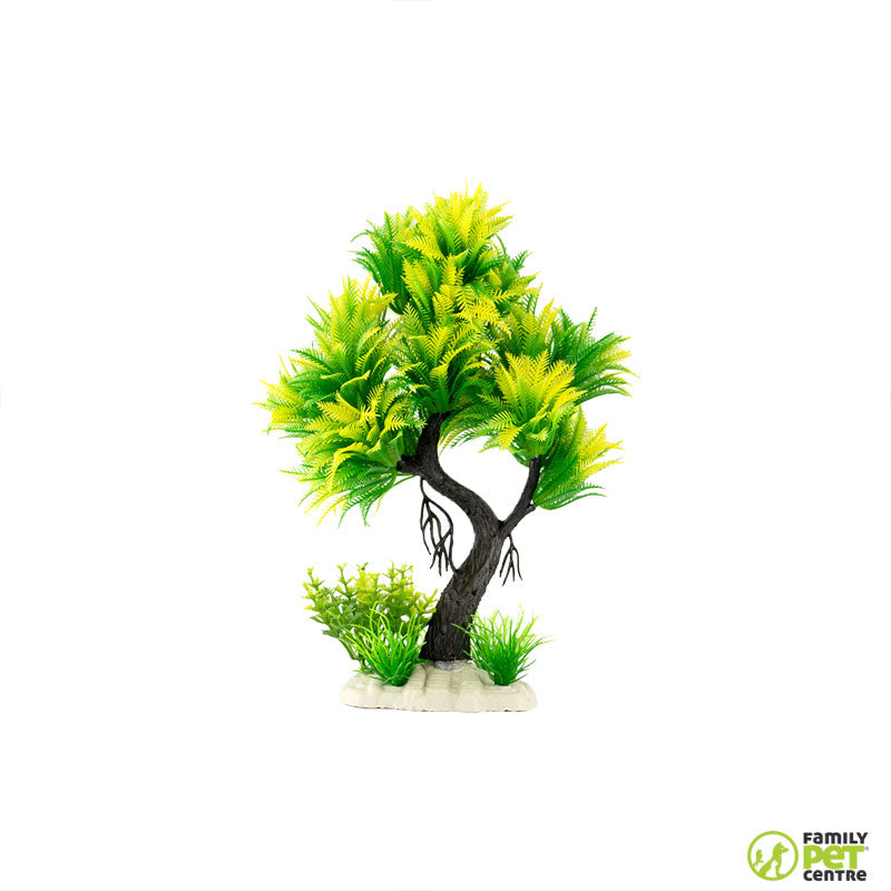 Zugo Ferny Green Shrub Tree