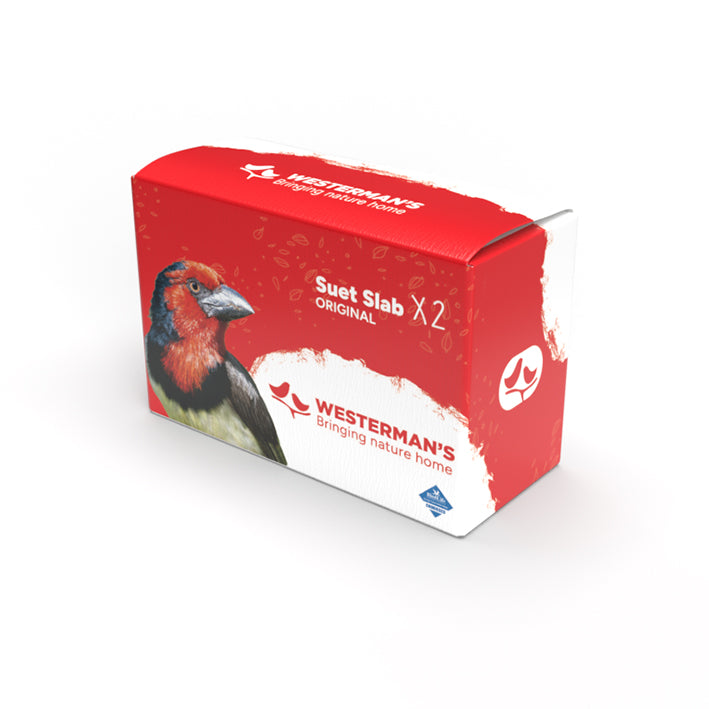 Westermans Wild Bird Suet Slab Treat Original 2 pack