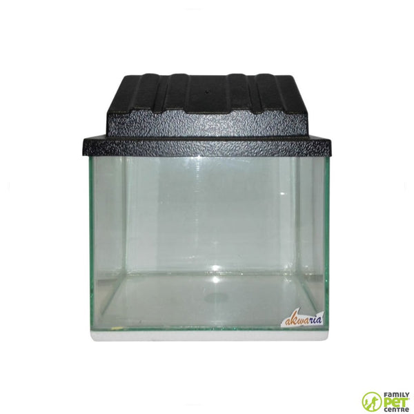 Mini fish store tank for sale