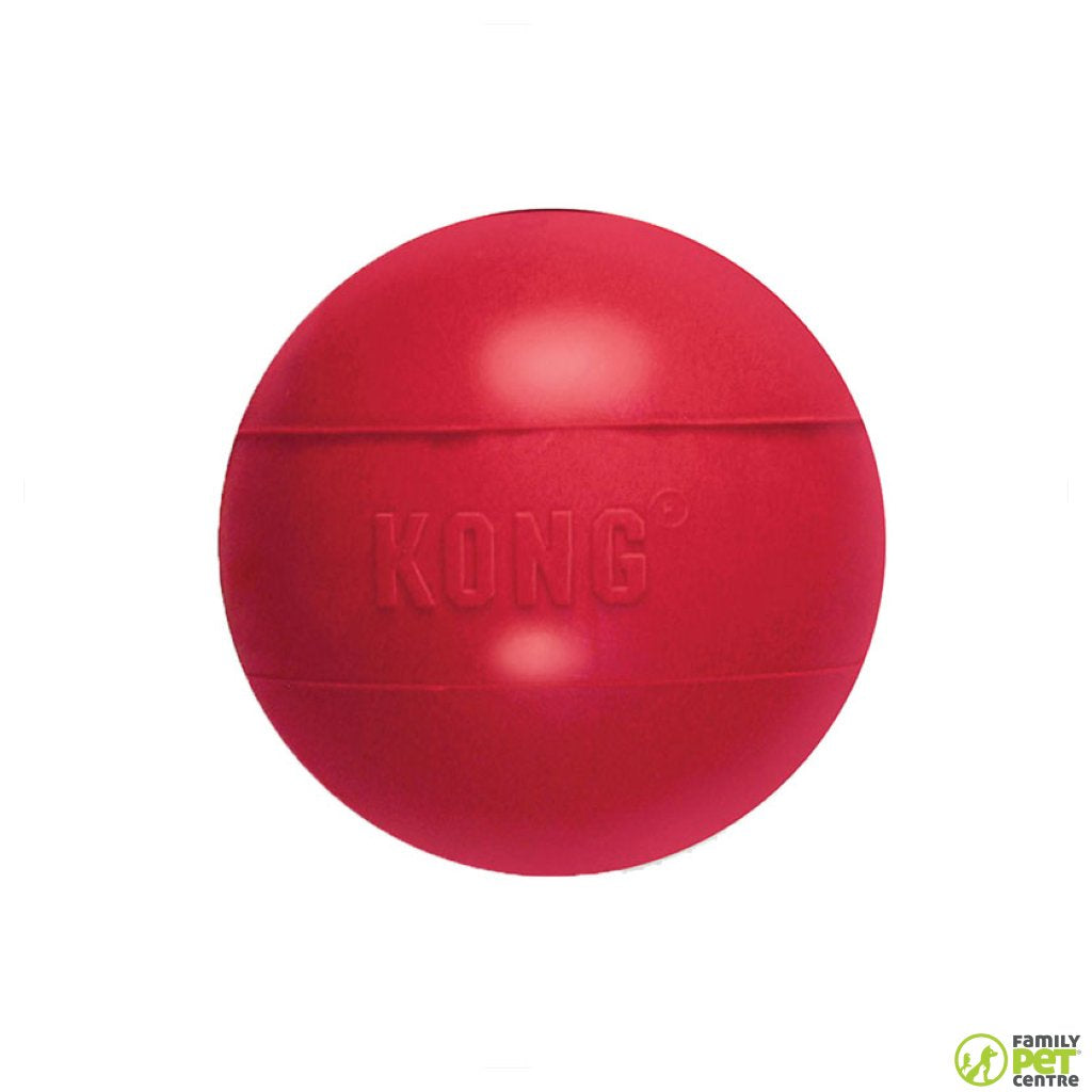 Kong Ball With Hole