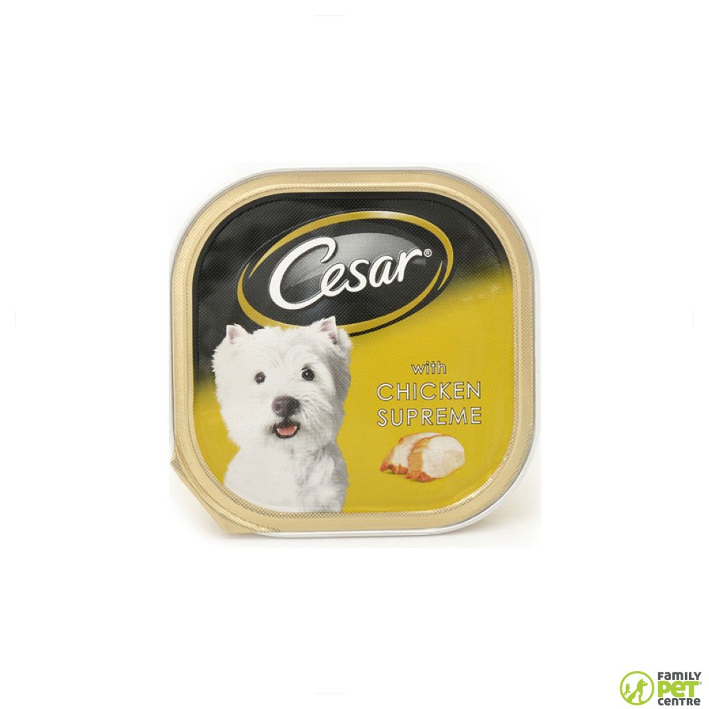 Cesar brand dog food best sale