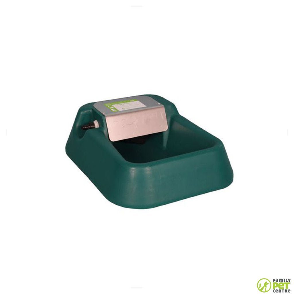 Accelerate Design Dog On Tap