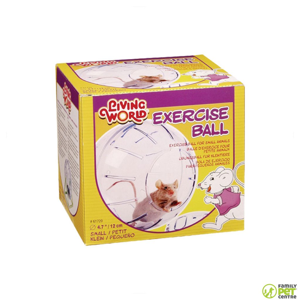 Living World Exercise Ball With Stand