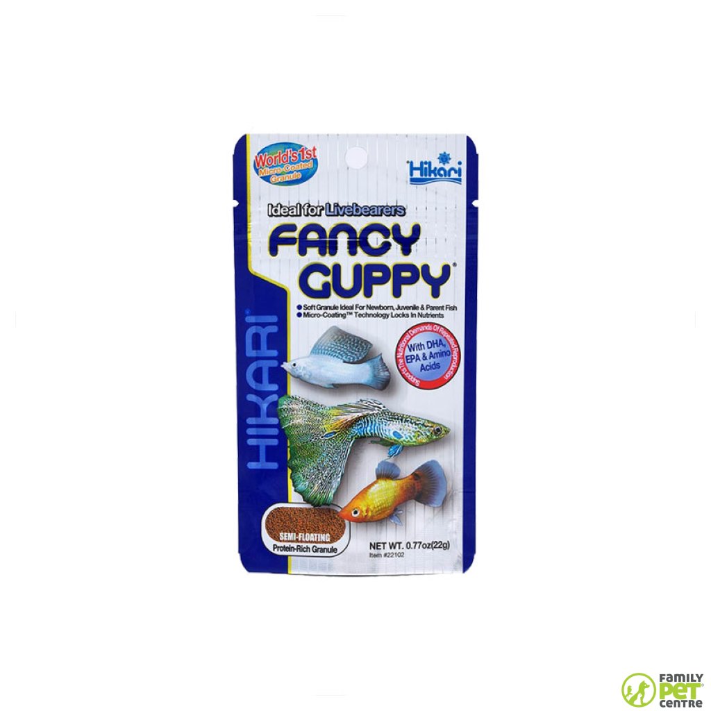 Hikari Fancy Guppy