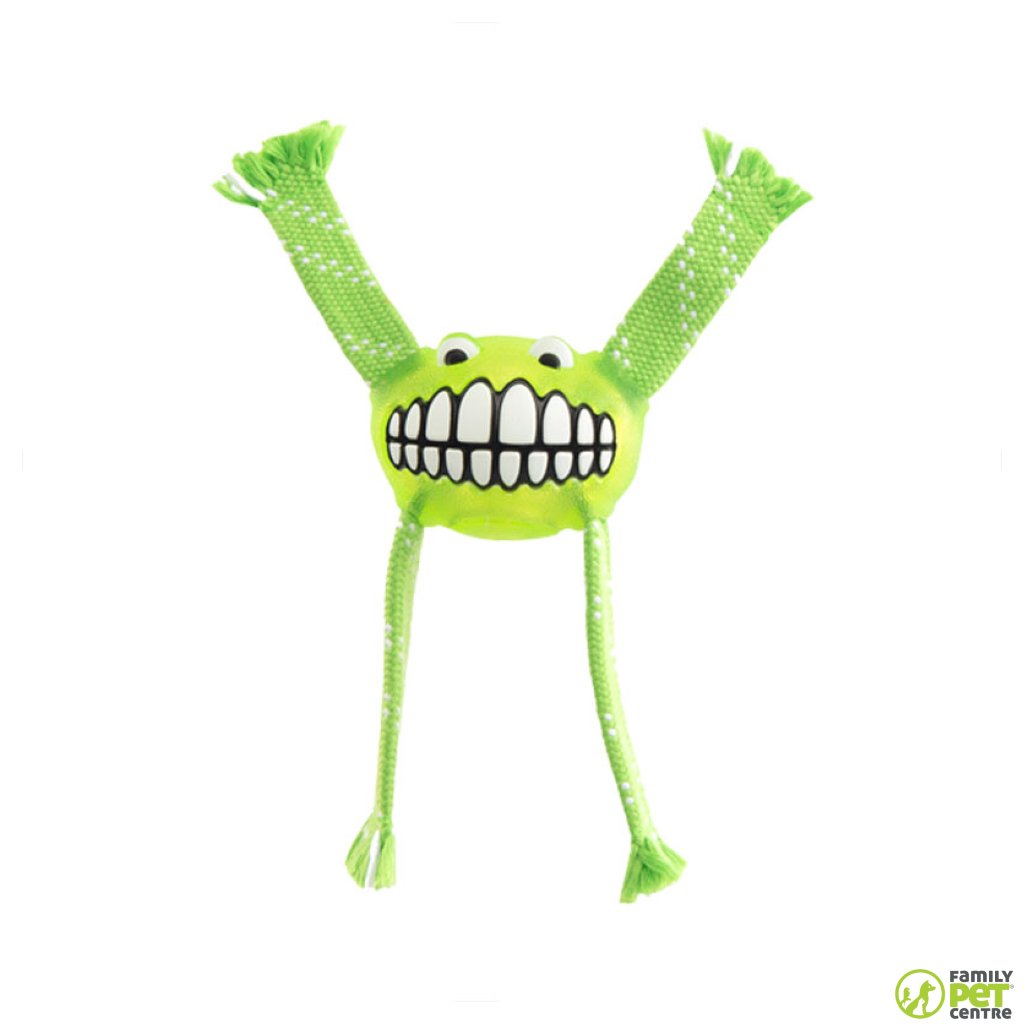 Rogz Flossy Grinz Dog Toy