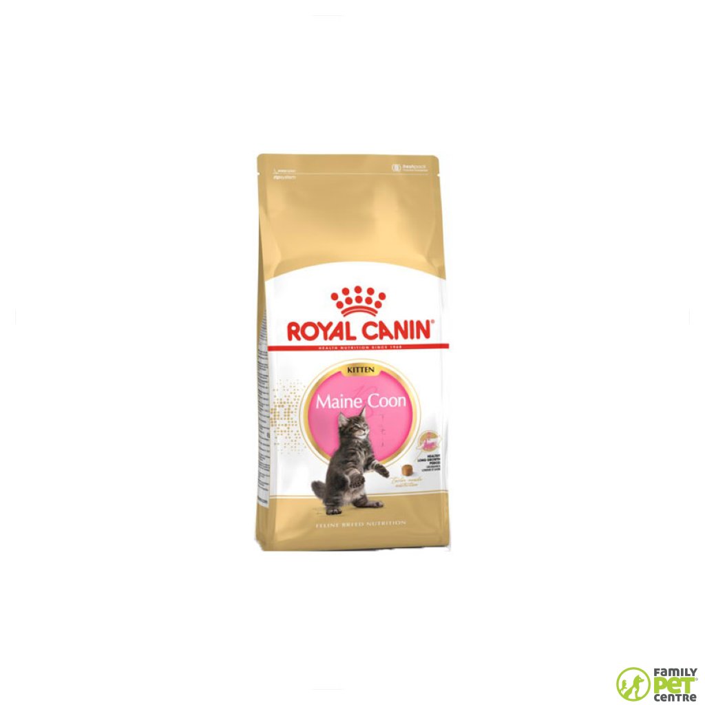 Royal Canin Maine Coon Kitten Food