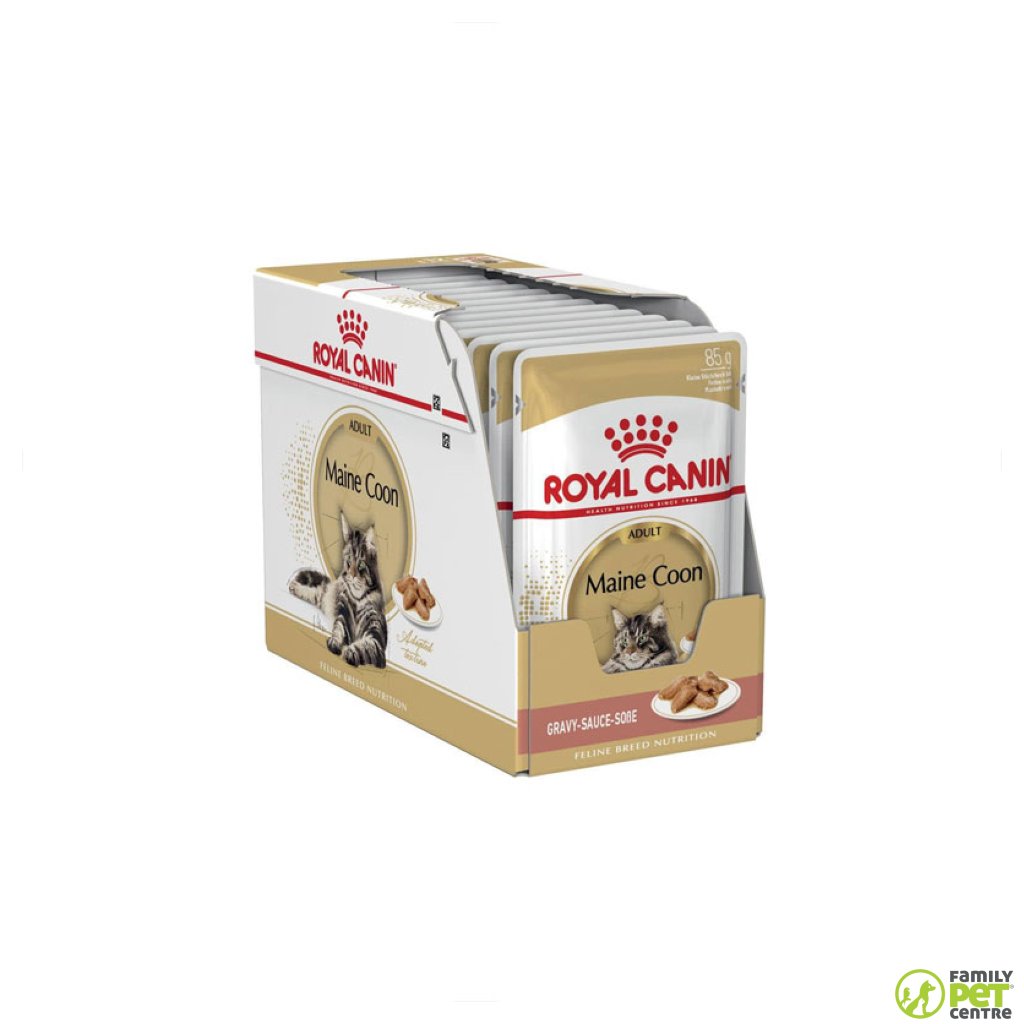 Royal Canin Maine Coon Wet Cat Food