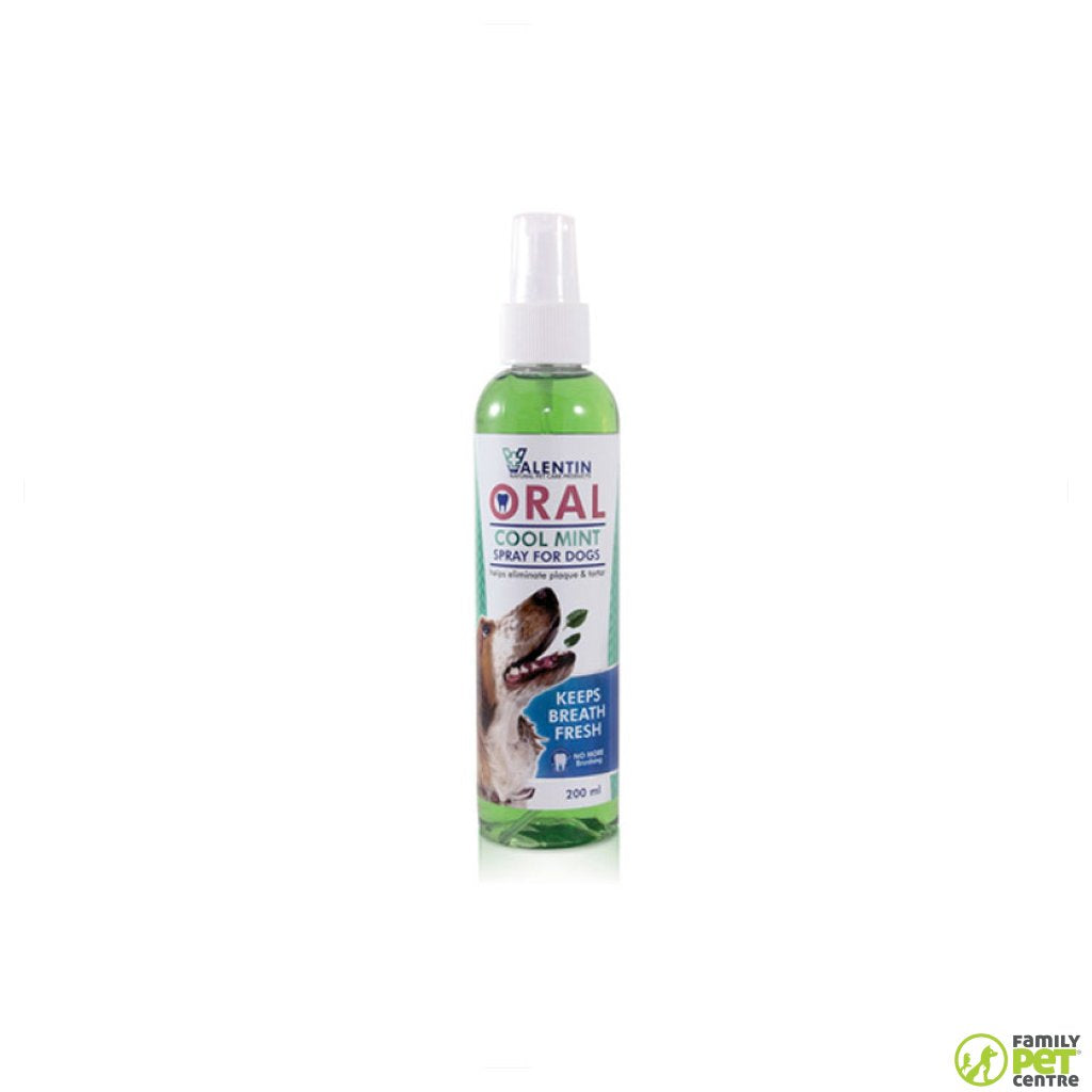 Valentin Oral Cool Mint Spray
