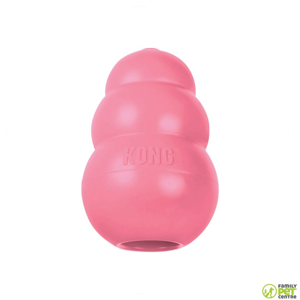 Kong Puppy Toy