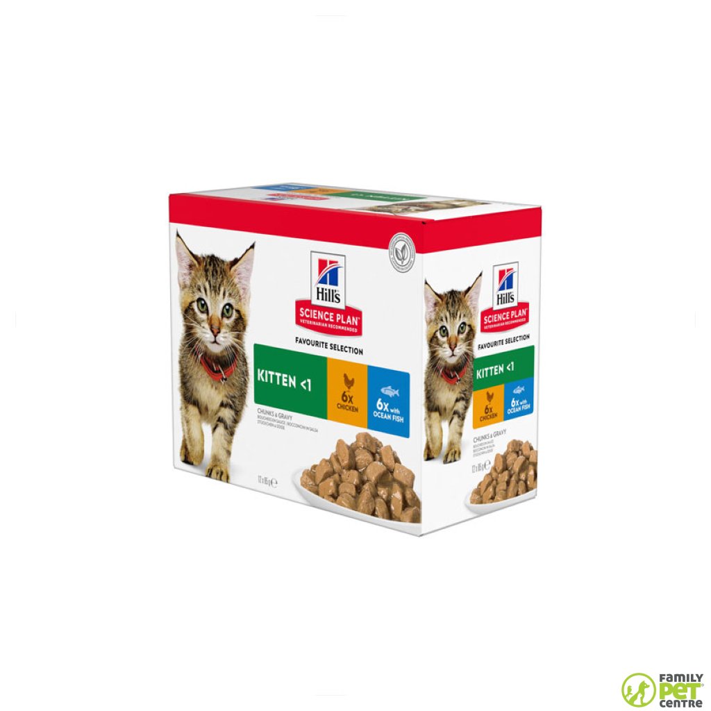 Hills science plan kitten best sale wet food