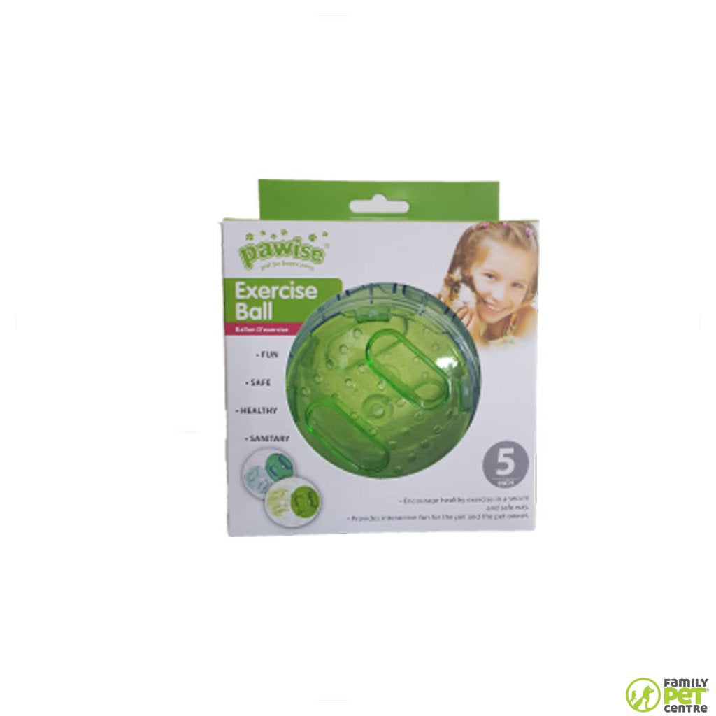 Pawise Small Animal Exercise Ball
