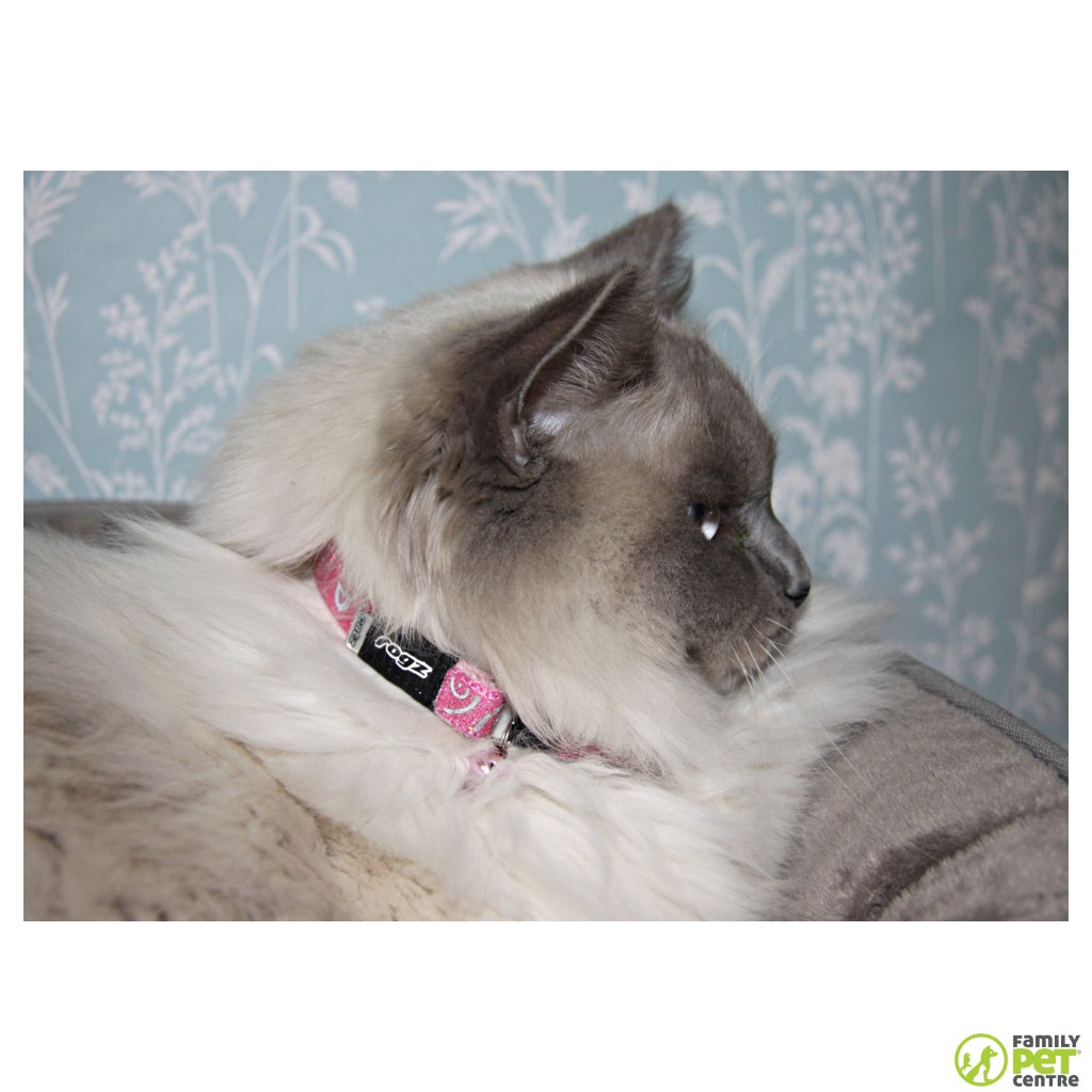 Rogz SparkleCat Pin Buckle Cat Collar