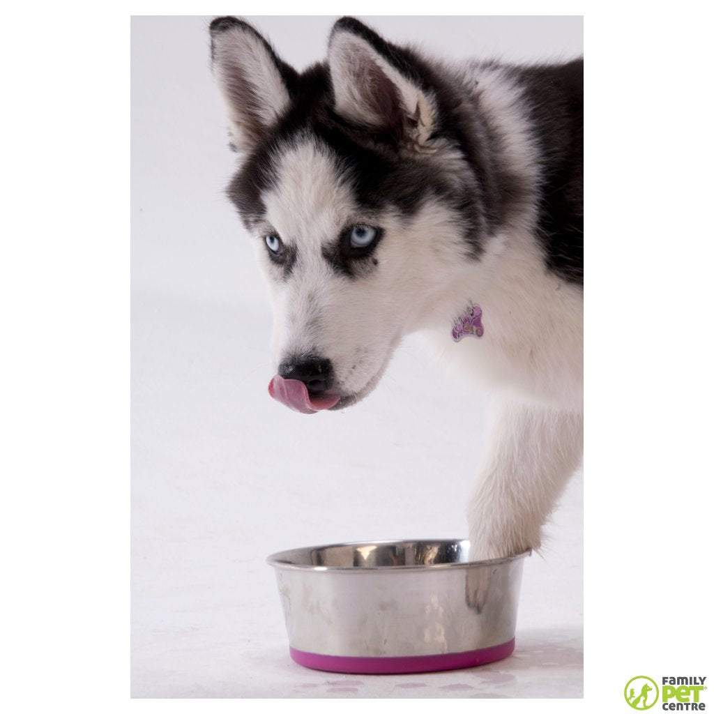 Rogz Stainless Steel Slurp Dog Bowl